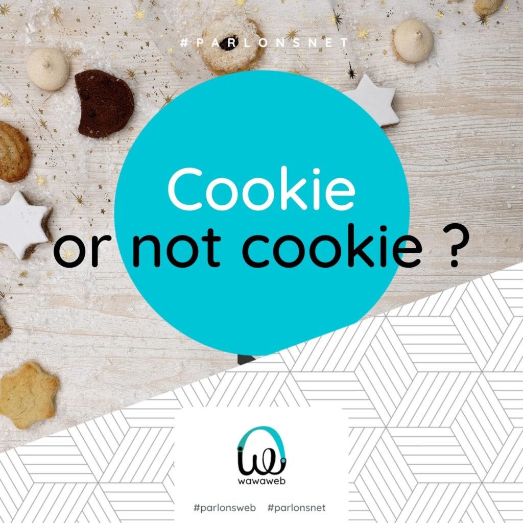 Des biscuits de toutes formes et couleurs sous le titre "Cookie or not cookie ?"
